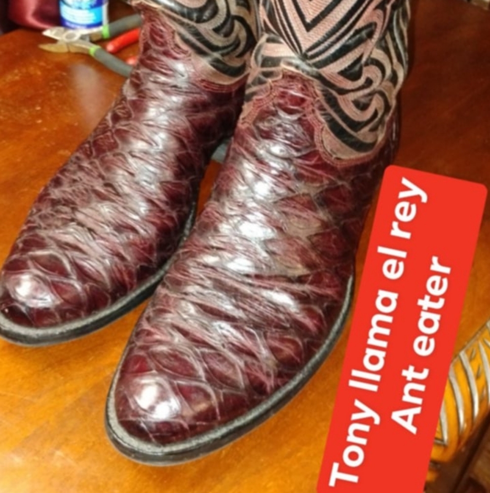 Burgundy and Black Western Boots
